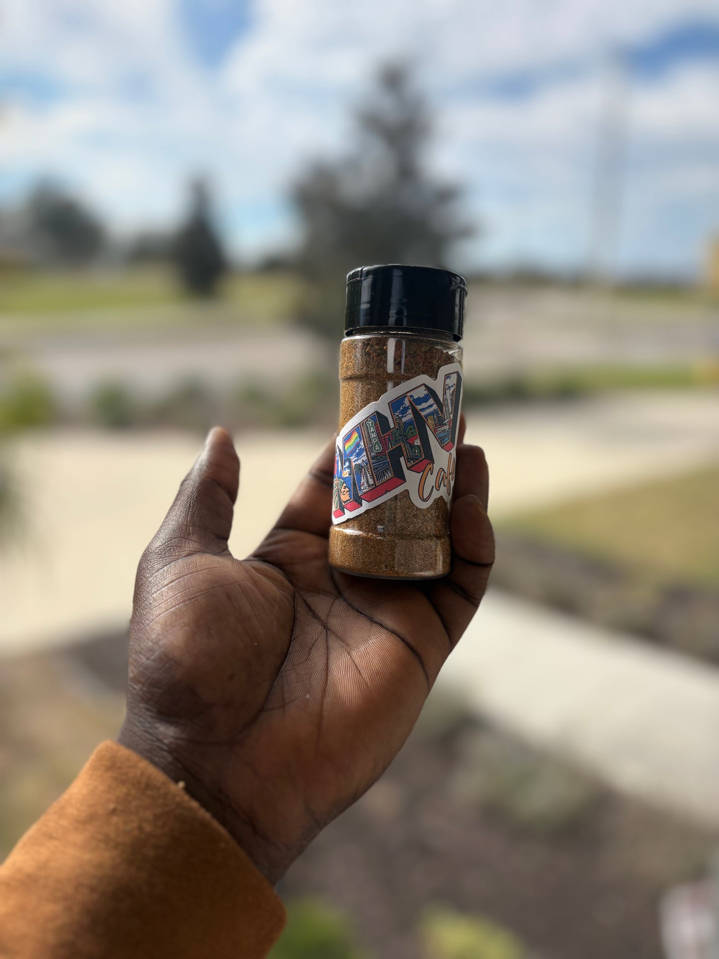 THE MASTERPIECE ALL-PURPOSE SEASONING